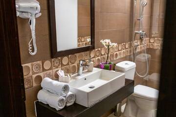 Фото номера Двухместный номер с 2 отдельными кроватями Отель Hotel Floare de Colt г. Мэнэстиря-Гуморулуй 12